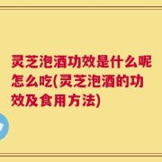 灵芝泡酒功效是什么呢怎么吃(灵芝泡酒的功效及食用方法)