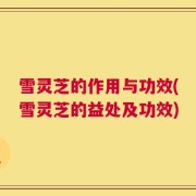 雪灵芝的作用与功效(雪灵芝的益处及功效)