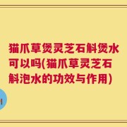 猫爪草煲灵芝石斛煲水可以吗(猫爪草灵芝石斛泡水的功效与作用)