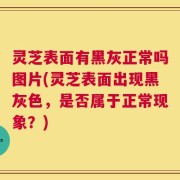 灵芝表面有黑灰正常吗图片(灵芝表面出现黑灰色，是否属于正常现象？)