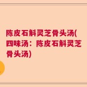 陈皮石斛灵芝骨头汤(四味汤：陈皮石斛灵芝骨头汤)