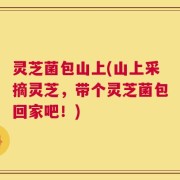 灵芝菌包山上(山上采摘灵芝，带个灵芝菌包回家吧！)
