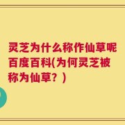 灵芝为什么称作仙草呢百度百科(为何灵芝被称为仙草？)