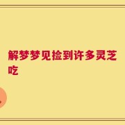 解梦梦见捡到许多灵芝吃