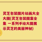 灵芝包装图片绘画大全大图(灵芝包装图案全集 一系列手绘大图展示灵芝的美丽神秘)