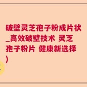 破壁灵芝孢子粉成片状_高效破壁技术 灵芝孢子粉片 健康新选择)