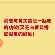 灵芝与黄芪禁忌一起吃的功效(灵芝与黄芪搭配服用的好处)