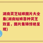 湖南灵芝姑娘图片大全集(湖南姑娘靠种灵芝致富，图片集锦惊艳呈现)