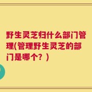 野生灵芝归什么部门管理(管理野生灵芝的部门是哪个？)