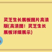 灵芝生长展板图片高清版(高清图！灵芝生长展板详细展示)