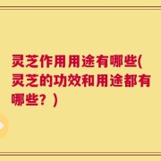 灵芝作用用途有哪些(灵芝的功效和用途都有哪些？)
