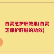 白灵芝护肝效果(白灵芝保护肝脏的功效)