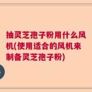 抽灵芝孢子粉用什么风机(使用适合的风机来制备灵芝孢子粉)