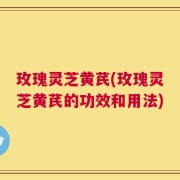 玫瑰灵芝黄芪(玫瑰灵芝黄芪的功效和用法)