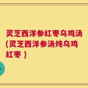 灵芝西洋参红枣乌鸡汤(灵芝西洋参汤炖乌鸡红枣 )