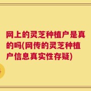 网上的灵芝种植户是真的吗(网传的灵芝种植户信息真实性存疑)