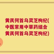 黄芪何首乌灵芝枸杞(中医常用中草药组合 黄芪何首乌灵芝枸杞)