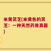 米黄灵芝(米黄色的灵芝：一种天然药用真菌)