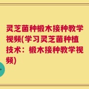 灵芝菌种椴木接种教学视频(学习灵芝菌种植技术：椴木接种教学视频)