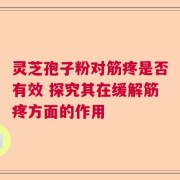 灵芝孢子粉对筋疼是否有效 探究其在缓解筋疼方面的作用