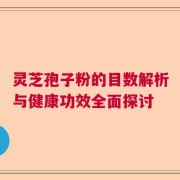 灵芝孢子粉的目数解析与健康功效全面探讨