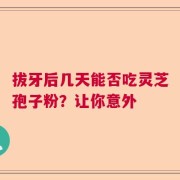 拔牙后几天能否吃灵芝孢子粉？让你意外