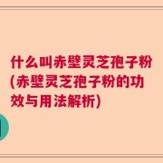 什么叫赤壁灵芝孢子粉(赤壁灵芝孢子粉的功效与用法解析)