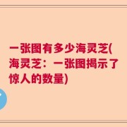 一张图有多少海灵芝(海灵芝：一张图揭示了惊人的数量)