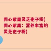 同心紫巢灵芝孢子粉(同心紫巢：营养丰富的灵芝孢子粉)