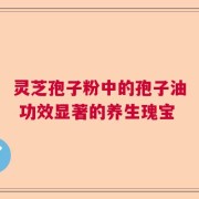 灵芝孢子粉中的孢子油 功效显著的养生瑰宝