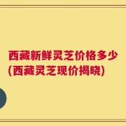 西藏新鲜灵芝价格多少(西藏灵芝现价揭晓)