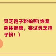 灵芝孢子粉拍照(恢复身体健康，尝试灵芝孢子粉！)