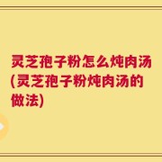 灵芝孢子粉怎么炖肉汤(灵芝孢子粉炖肉汤的做法)