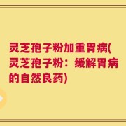 灵芝孢子粉加重胃病(灵芝孢子粉：缓解胃病的自然良药)