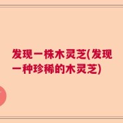 发现一株木灵芝(发现一种珍稀的木灵芝)