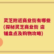 灵芝附近商业街有哪些(探秘灵芝商业街 店铺盘点及购物攻略)