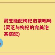 灵芝能配枸杞泡茶喝吗(灵芝与枸杞的完美泡茶搭配)