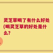 灵芝草喝了有什么好处(喝灵芝草的好处是什么？