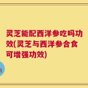 灵芝能配西洋参吃吗功效(灵芝与西洋参合食可增强功效)