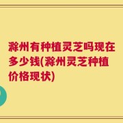 滁州有种植灵芝吗现在多少钱(滁州灵芝种植价格现状)