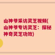 山神爷采访灵芝视频(山神爷专访灵芝：探秘神奇灵芝功效)