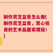 制作灵芝盆景怎么做(制作灵芝盆景，赏心悦目的艺术品居家摆设！)