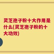 灵芝孢子粉十大作用是什么(灵芝孢子粉的十大功效)