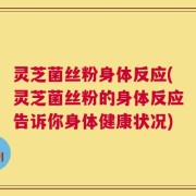 灵芝菌丝粉身体反应(灵芝菌丝粉的身体反应告诉你身体健康状况)