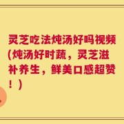 灵芝吃法炖汤好吗视频(炖汤好时蔬，灵芝滋补养生，鲜美口感超赞！)