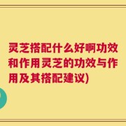 灵芝搭配什么好啊功效和作用灵芝的功效与作用及其搭配建议)