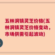 五林洞镇灵芝价格(五林洞镇灵芝价格变动，市场供需引起波动)