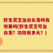 野生灵芝治白头发吗有效果吗(野生灵芝可治白发？功效有多大？)