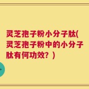 灵芝孢子粉小分子肽(灵芝孢子粉中的小分子肽有何功效？)