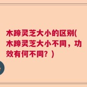 木蹄灵芝大小的区别(木蹄灵芝大小不同，功效有何不同？)